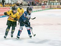 DSC03740-1000
