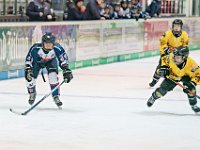DSC03751-1000