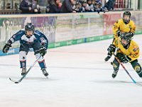 DSC03752-1000