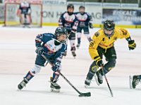 DSC03770-1000