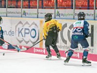DSC03777-1000