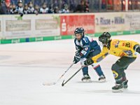 DSC03779-1000