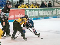 DSC03782-1000