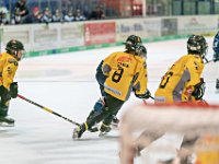 DSC03784-1000