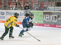 DSC03786-1000