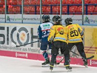 DSC03788-1000