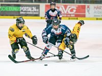 DSC03791-1000