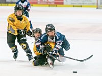 DSC03792-1000