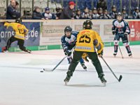DSC03796-1000