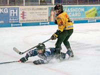 DSC03806-1000