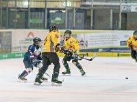 DSC03816-1000