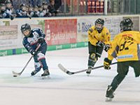 DSC03818-1000